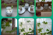 001-1