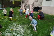 IMG_20210505_101145