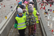 IMG_20221104_093033