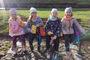 IMG_20221026_102846