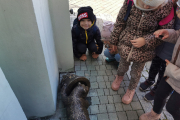IMG_20221026_110625