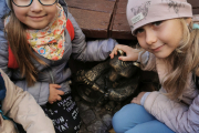 IMG_20221026_111552