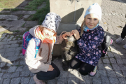 IMG_20221026_112659