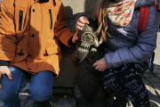 IMG_20221026_112706