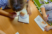 IMG-20230306-WA0044