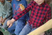 IMG_20230310_120007