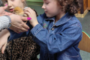 IMG_20230310_120237