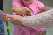 IMG_20230310_120256