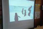 IMG_20230119_143247