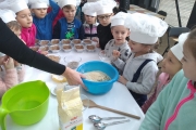 IMG_20190222_100817568