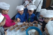 IMG_20190222_100913262_BURST001
