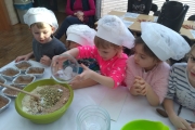 IMG_20190222_101151900