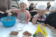 IMG_20190222_102518727
