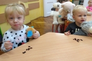 IMG_20191125_095806209