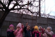 IMG_20191212_100532659