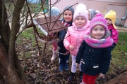 IMG_20191212_101028133