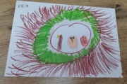 25