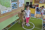 DSC_0008