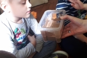 20190312_094241